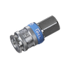 PCL Coupling Body Female 1/4"BSPT