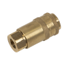 PCL Non-Corrodible Coupling Body Female 1/4"BSPT
