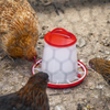 Poultry Feeder 1.5kg