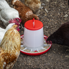 Poultry Feeder 6kg - Pack of 2