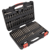 Premier TRX-Star*/Security TRX-Star*/Hex/Ribe/Spline Bit Set 3/8" & 1/2"Sq Drive 74pc
