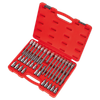 Premier Ribe Socket Bit Set 1/2"Sq Drive 32pc