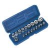 Premier TRX-Star* Socket & Bit Set 3/8"Sq Drive 19pc
