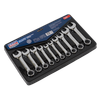 Premier Stubby Combination Spanner Set 10pc