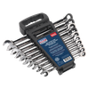 Premier Extra-Long Combination Ratchet Spanner Set 10pc