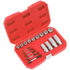 Premier Bolt, Stud & Screw Extractor Set 18pc