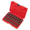 Multi-Spline Screw Extractor Set 25pc