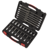 Premier Platinum Hex Socket Bit Set 3/8"Sq Drive 30pc