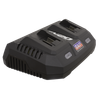 SV20 Series Fast Charge Dual Battery Charger 20V
