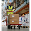 Heavy-Duty Platform Truck 250kg Capacity