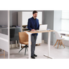 Dellonda Single Motor Ultra-Quiet Adjustable-Height Electric Sit/Stand Desk - Oak Desktop
