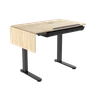 Dellonda Single Motor Ultra-Quiet Electric Adjustable Drawing Table with 40° Tilt, Drawer & Side Table