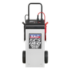 12/24V Electronic Charger Maintainer/Starter 100/650A