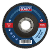 100mm Zirconium Flap Disc 120Grit 16mm Bore
