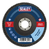 100mm Zirconium Flap Disc 40Grit 16mm Bore