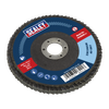 100mm Zirconium Flap Disc 40Grit 16mm Bore