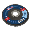 115mm Zirconium Flap Disc 40Grit 22mm Bore