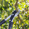 Anvil Lopping Shears with Soft Grip Handle, Geared & Carbon Steel Blade
