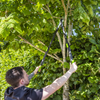 Telescopic Bypass Lopping Shears with Soft Grip Handle, Geared & Carbon Steel Blade