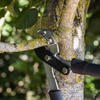 Telescopic Anvil Lopping Shears with Soft Grip Handle, Geared & Carbon Steel Blade