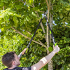 Telescopic Anvil Lopping Shears with Soft Grip Handle, Geared & Carbon Steel Blade