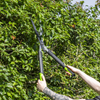 Hedge Shears with Soft Grip Handle & Carbon Steel Blade