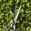 Hedge Shears with Soft Grip Handle & Carbon Steel Blade