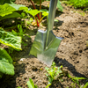 Premier Border Spade with Ash Y Handle & Stainless Steel Blade