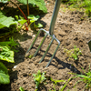 Premier Border Fork with Ash Handle & Stainless Steel Tines