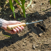 Premier Mini Hoe with Ash Handle & Stainless Steel Blade