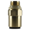 John Guest® Brass SuperThread Straight Adaptor 6mm x 1/8"BSP - Pack of 2