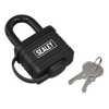 Steel Body Weatherproof Padlock 54mm
