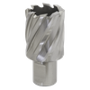 Worksafe® 29mm HSS Mag Drill Bit Cut Depth 25mm