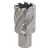 Worksafe® 30mm HSS Mag Drill Bit Cut Depth 25mm
