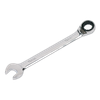 Premier Reversible Combination Ratchet Spanner 19mm