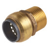 SharkBite® Brass Straight Adaptor 15mm x 1/2"BSPT