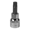 Premier TRX-Star* Socket Bit 3/8"Sq Drive T47