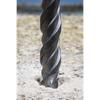 Worksafe® SDS Plus Drill Bit 18 x 250mm