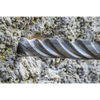 Worksafe® SDS Plus Drill Bit 6 x 160mm