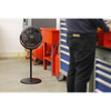 Desk & Pedestal Fan 12" 230V