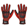 Cut & Impact Resistant Gloves, Large - Pair