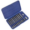 Premier Ribe Bit Set 3/8" & 1/2"Sq Drive 22pc