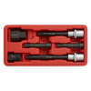 Alternator Freewheel Pulley Removal Set 6pc