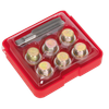 Oil Drain Plug Thread Repair Set M17
