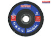 Faithfull - Flap Disc 100mm Coarse