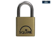 Henry Squire - LN2 Lion Brass Padlock 25mm