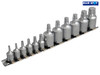 BlueSpot Tools - Torx Socket Set of 12 1/4 & 3/8in Square Drive