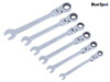BlueSpot Tools - Flexible Head Ratchet Set, 6 Piece