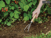 Kent & Stowe - Stainless Steel Hand 3-Prong Cultivator, FSC®