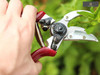 Kent & Stowe - Rose Cut & Hold Secateurs
